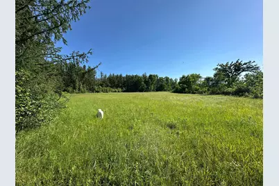 Tbd 205th Avenue, Sebeka, MN 56477 - Photo 14