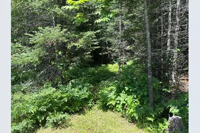 11625 Nett Lake Road, Orr, MN 55771 - Photo 22