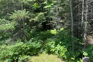 11625 Nett Lake Rd, Orr, MN 55771 - Photo 22