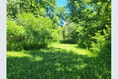 Lot 5 Big Chip Trail NW, Garfield, MN 56332 - Photo 8