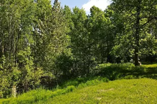 30014 Natureview Ln, Grand Rapids, MN 55744 - Photo 40