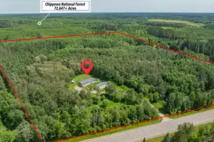 57450 State Hwy 38, Bigfork, MN 56628 - Photo 30