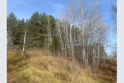 0000 Wick Road, Saginaw, MN 55779 - Photo 2