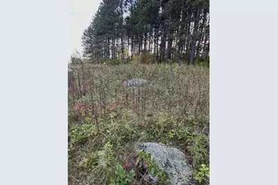 0000 Wick Road, Saginaw, MN 55779 - Photo 10