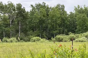 Tbd Hwy 65, Nashwauk, MN 55769 - Photo 1
