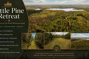 384 Acres Tbd Little Pine Rd, Emily, MN 56447 - Photo 1
