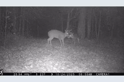384 Acres Tbd Little Pine Road, Emily, MN 56447 - Photo 28