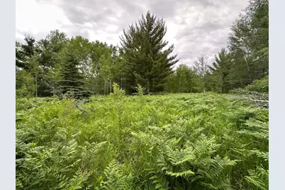 Tbd 269th Avenue, Laporte, MN 56461 - Photo 12