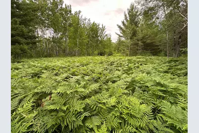 Tbd 269th Avenue, Laporte, MN 56461 - Photo 14
