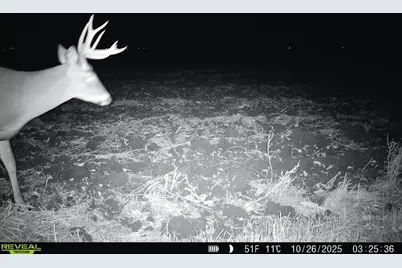 Xxx 130th Ave, Welcome, MN 56181 - Photo 30