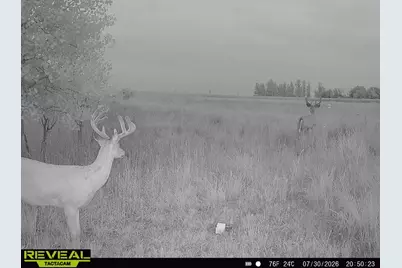 Xxx 130th Ave, Welcome, MN 56181 - Photo 28