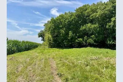 Xxx 130th Ave, Welcome, MN 56181 - Photo 42