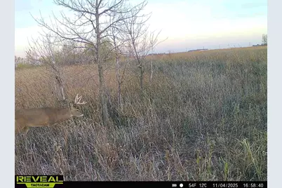 Xxx 130th Ave, Welcome, MN 56181 - Photo 2