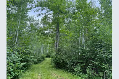 58059 Wolf Creek Road, Sandstone, MN 55072 - Photo 2