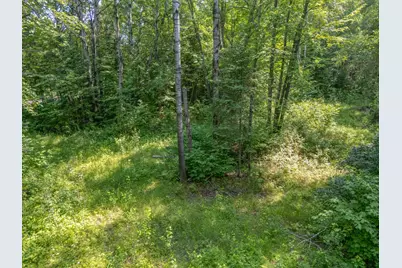 County Road 308 County Road 308, Mountain Iron, MN 55768 - Photo 6
