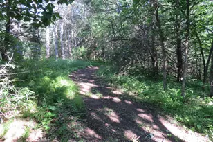 7738 Co Rd 17, Rice, MN 56367 - Photo 22