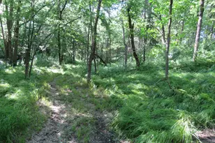 7738 Co Rd 17, Rice, MN 56367 - Photo 20