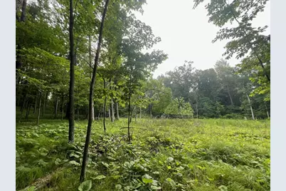 Lot's 4,5 & 6 Anderson Hill Lane, Boyceville, WI 54725 - Photo 2