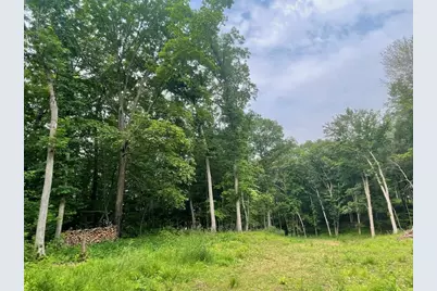 Lot's 4,5 & 6 Anderson Hill Lane, Boyceville, WI 54725 - Photo 4