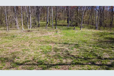 Lot's 4,5 & 6 Anderson Hill Lane, Boyceville, WI 54725 - Photo 12