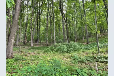 Lot's 4,5 & 6 Anderson Hill Lane, Boyceville, WI 54725 - Photo 10