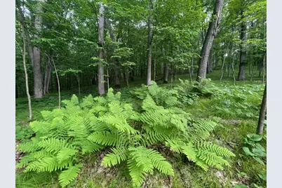 Lot's 4,5 & 6 Anderson Hill Lane, Boyceville, WI 54725 - Photo 8