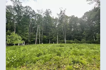 Lot's 4,5 & 6 Anderson Hill Lane, Boyceville, WI 54725 - Photo 6