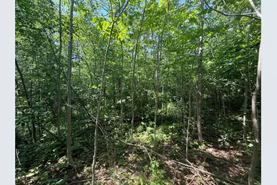 Tbd Scenic Dr., Two Harbors, MN 55616 - Photo 12