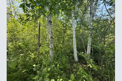 Tbd Scenic Dr., Two Harbors, MN 55616 - Photo 6