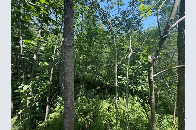 Tbd Scenic Dr., Two Harbors, MN 55616 - Photo 10