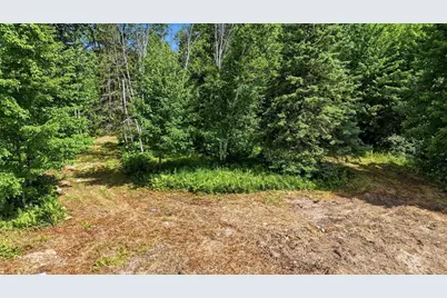 Tbd Guile Lake Road, Cohasset, MN 55721 - Photo 6