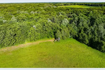 32067 County 3, Eagle Bend, MN 56446 - Photo 86