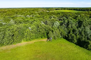 32067 County 3, Eagle Bend, MN 56446 - Photo 86