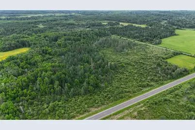 Tbd Townline Road, Forbes, MN 55738 - Photo 6