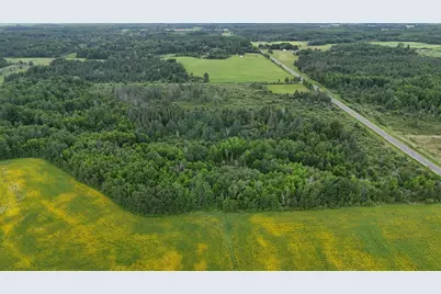 Tbd Townline Road, Forbes, MN 55738 - Photo 4