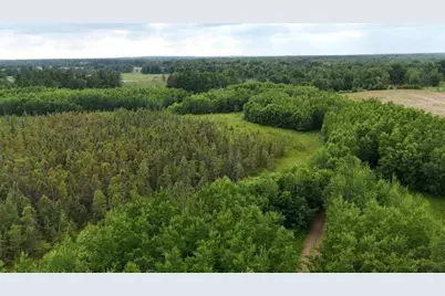 6565 Lynch Bridge Road, Siren, WI 54872 - Photo 100