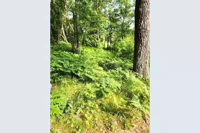 6565 Lynch Bridge Road, Siren, WI 54872 - Photo 10