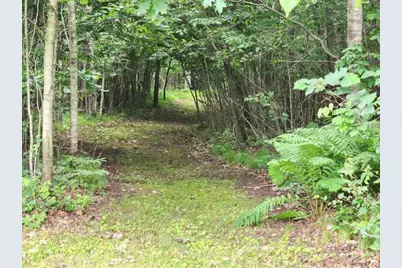6565 Lynch Bridge Road, Siren, WI 54872 - Photo 66