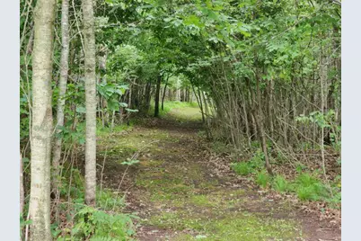 6565 Lynch Bridge Road, Siren, WI 54872 - Photo 6