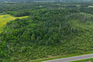 8Xxx Townline Rd, Forbes, MN 55738 - Photo 1