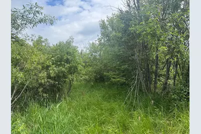 Tbd Quaal Road, Forbes, MN 55738 - Photo 12