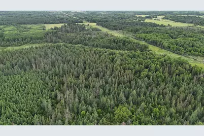 Tbd Quaal Road, Forbes, MN 55738 - Photo 2