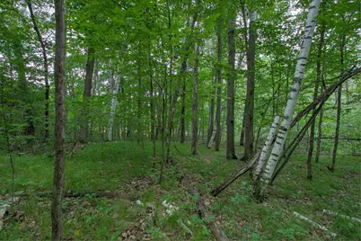 37306 Fjeldheim Road NE, Stanchfield, MN 55080 - Photo 34