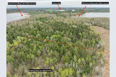Tbd Chokecherry Drive, Nevis, MN 56467 - Photo 6