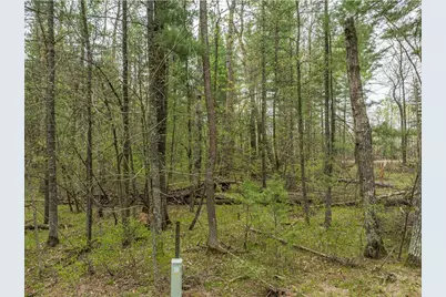 Tbd Chokecherry Drive, Nevis, MN 56467 - Photo 8