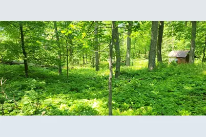 8565 Bear Island Landing NW, Walker, MN 56484 - Photo 10