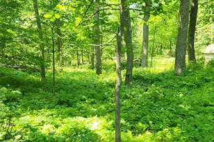 8565 Bear Island Landing NW, Walker, MN 56484 - Photo 10