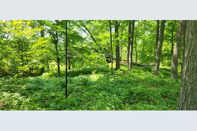 8565 Bear Island Landing NW, Walker, MN 56484 - Photo 8