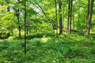 8565 Bear Island Landing NW, Walker, MN 56484 - Photo 8