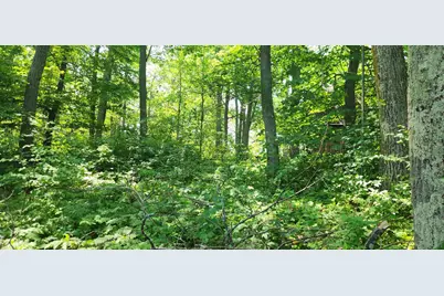 8565 Bear Island Landing NW, Walker, MN 56484 - Photo 6